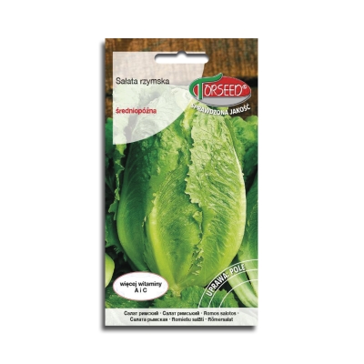 SAŁATA RZYMSKA PARRIS ISLAND COS nasiona